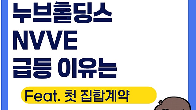 누브홀딩스 NVVE 급등 이유는(Ft. 일본 고정형 저장 배터리 계약)