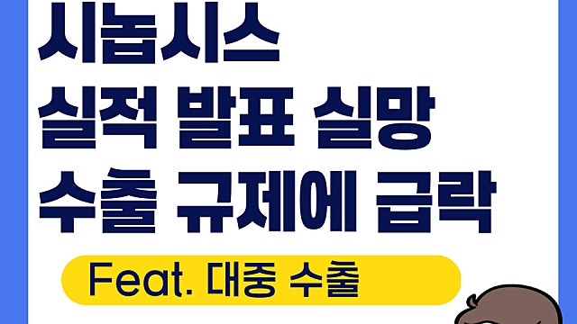 시놉시스 SNPS 실적 발표, 순이익 43%나 급락(Feat. 대중 규제)
