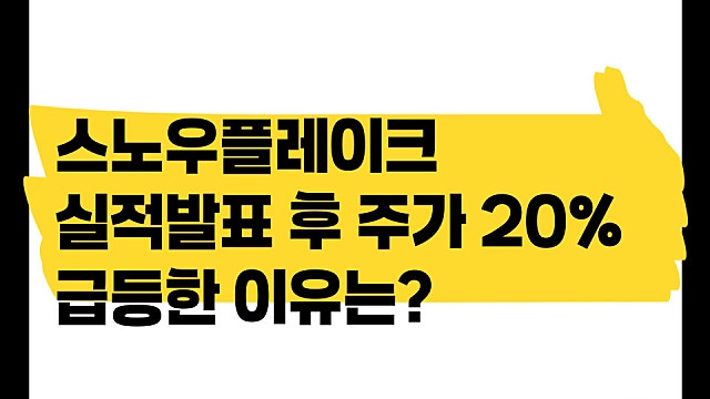 스노우플레이크 SNOW 실적발표 후 주가 20% 급등한 이유