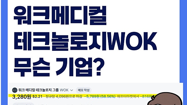 주가 폭등 후 폭락한 워크 메디컬 테크놀로지 WOK 주가 무슨 기업?