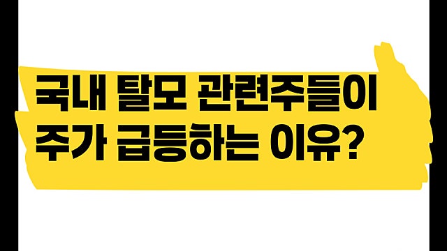 국내 탈모치료제 관련주들이 급등하는 이유, 현대약품 JW신약
