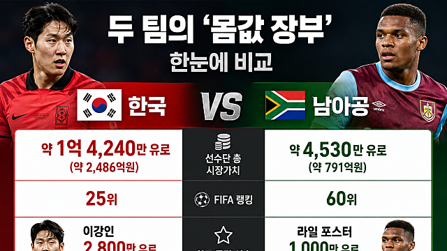 목요일 월드컵 조별예선 최종경기 상대 남아공 축구대표팀 몸값은?