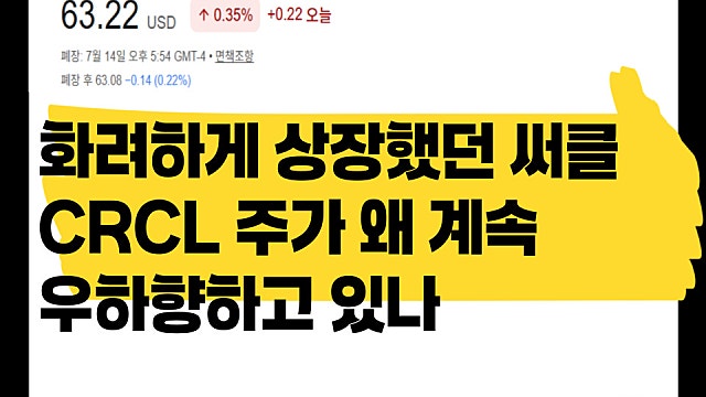 화려하게 상장했던 써클 CRCL 주가 계속 떨어지는이유는?