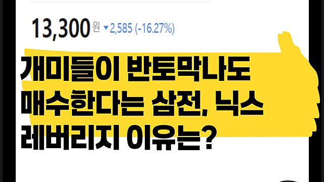 반토막나도 개미들이 매수하는 삼전, 닉스 레버리지 왜?