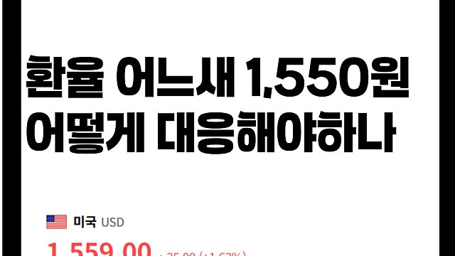 환율 어느새 1,560원도 찍어, 1500원대 뉴노멀 시대 어떻게 대응해야하나