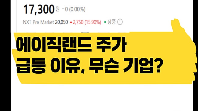 에이직랜드 주가 급등 이유, 무슨 기업인가