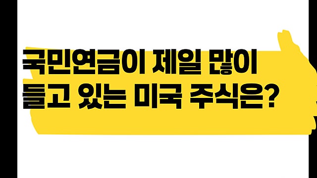 국민연금이 지금 제일 많이 갖고 있는 미국주식은?