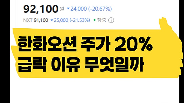 한화오션 주가 20% 급락 이유, 무슨 기업?