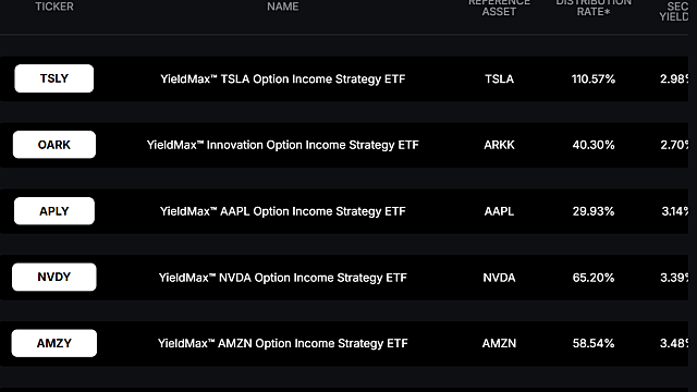 YiledMax 뜻 ETF 배당, 대단한 일드맥스 상품들, 단점