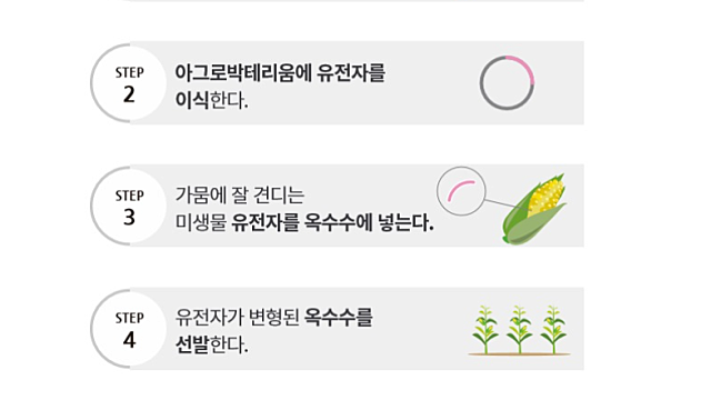 연말부터 유전자변형식품 GMO 완전 표시제, 무엇이 달라지나(Ft. 건강이 중요)