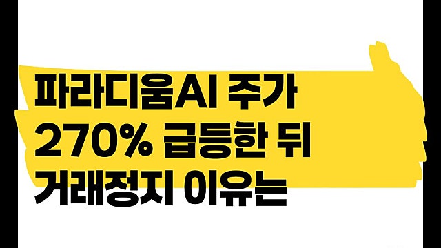 파라디움AI PAAI 주가 270% 급등한 뒤 거래정지 이유(Ft. T1, T2거래정지)