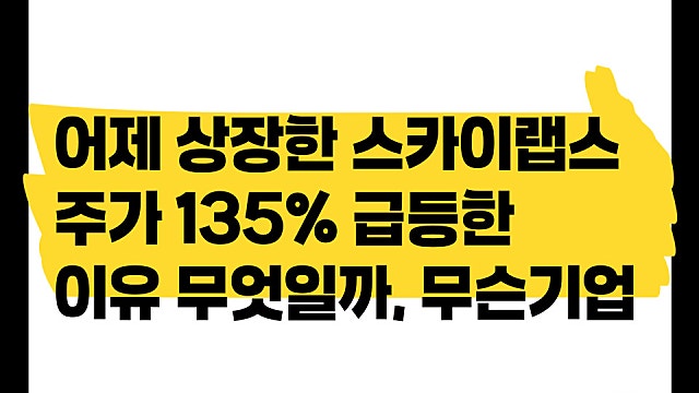 어제 상장하고 주가 135% 급등한 스카이랩스, 무슨 기업인가