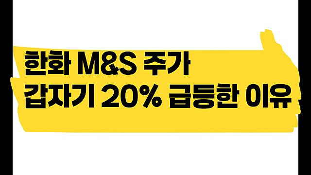 오늘 한화머시너리앤서비스홀딩스 주가 20% 오른 이유는