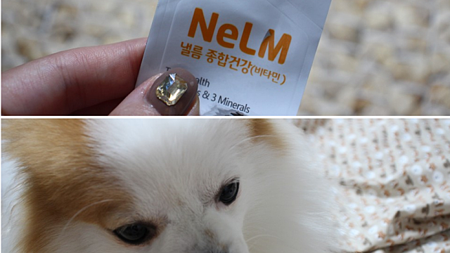 [에코마케팅] next 글루가 = 미펫?