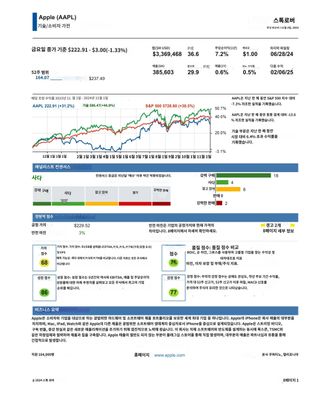 Stock Rover) 애플 리포트 번역본