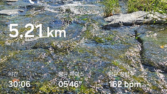 운동 기록 048