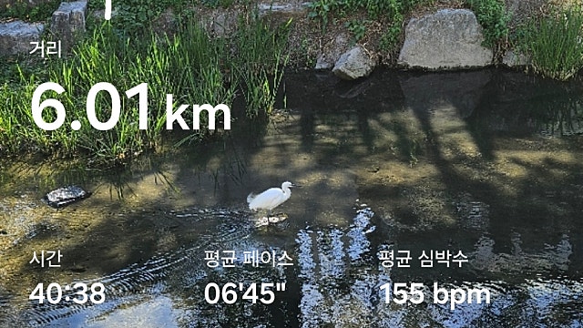 운동 기록 033