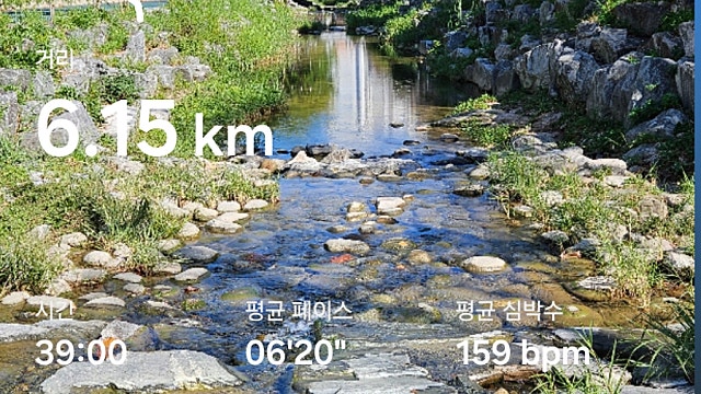 운동 기록 043