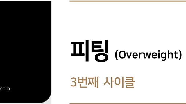 [산업/기업공부] 피팅 3번째 사이클 (다올증권)