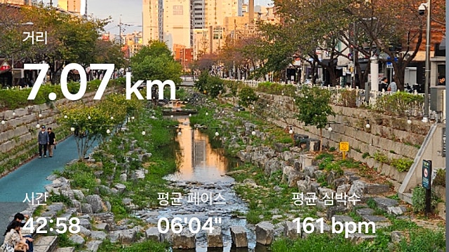 운동 기록 036