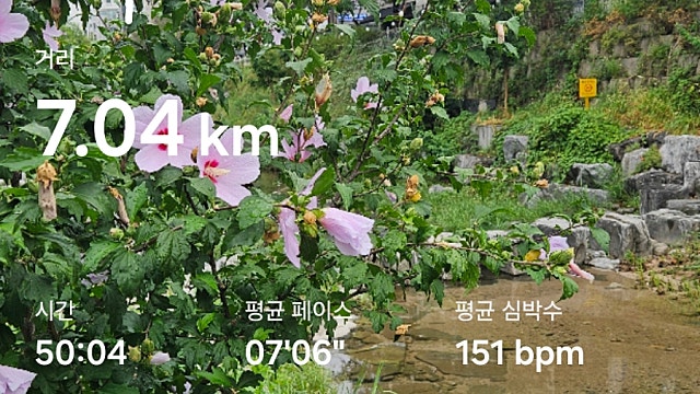 운동 기록 011