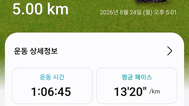 28일차 26.8.24