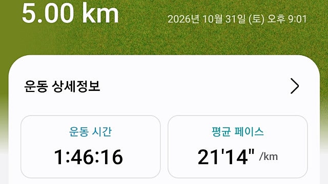 운동81일차 26.10.31