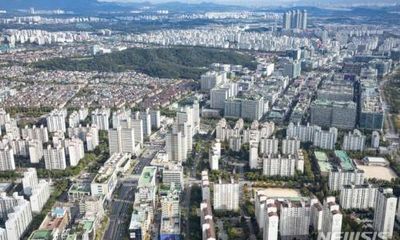 아파트 근황(feat 1기 신도시 재건축, 선도지구, 전세, 분당vs일산 )