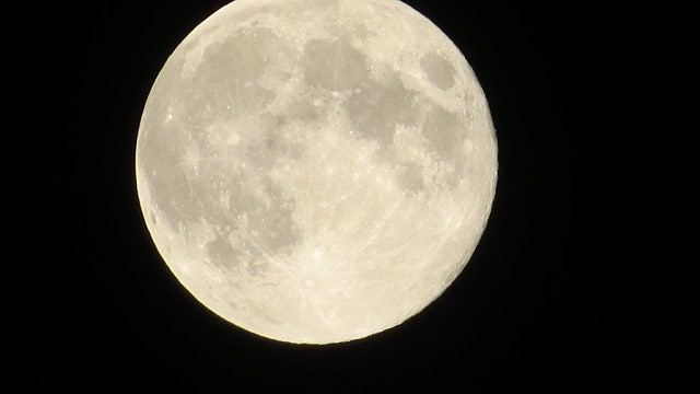 2026년 달파 프로젝트를 보면, 돈버는 법이 보인다.