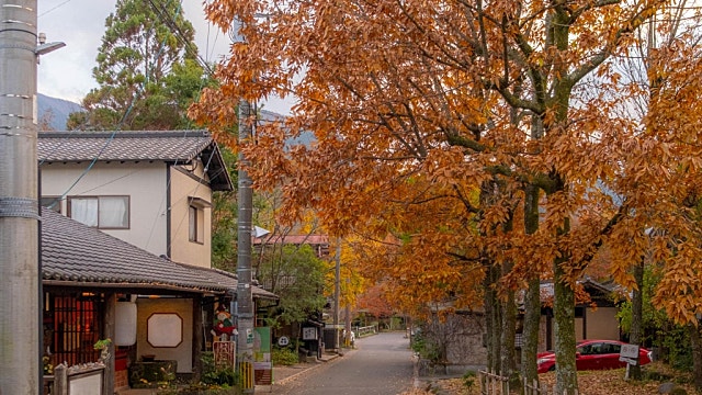 일본과 중국이 충돌하는 이유(feat 사나에 다카이치 vs 시진핑)