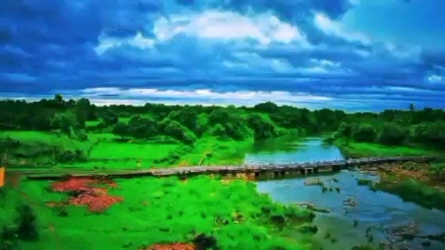 다양한 투자방법과 세금 이야기 (feat 포켓몬 카드, 그림, 소득세)