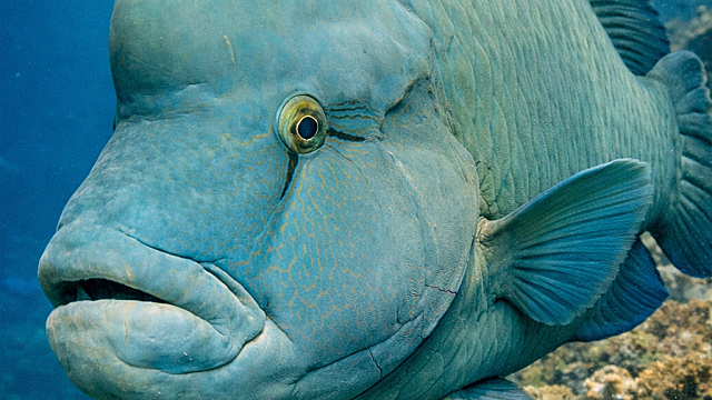 호르무즈해협 폐쇄가 장기화되면 조선업 수주 취소가 걱정된다고?