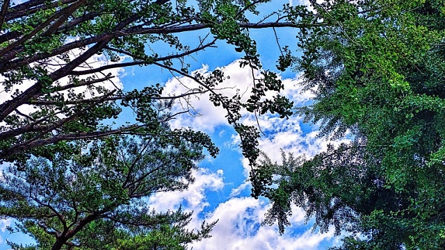 휴일에 읽는 전세 이야기 1 (feat 태장도유사)