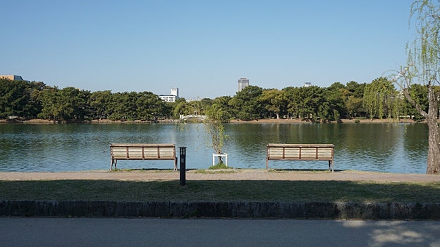 일본 총리 다카이치 진화하나? (feat 의회해산)