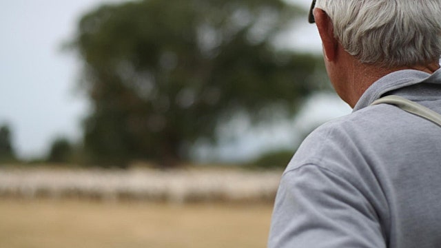 65세 정년연장은 괜찮을까?