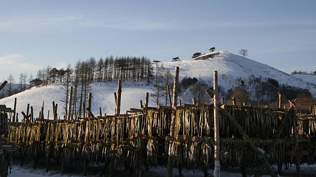개인 포트폴리오 업데이트 (feat 일본종합상사, 조선주, 은)
