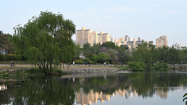 주절주절...버크셔 실사 에피소드