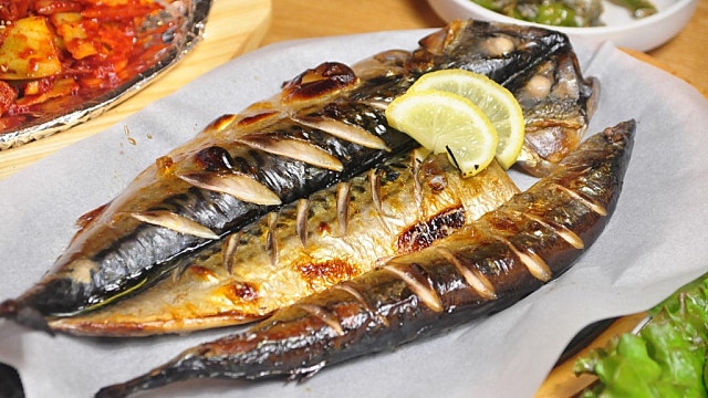 고등어 이야기 2 (feat 노르웨이고등어, 참고등어, 망치고등어)