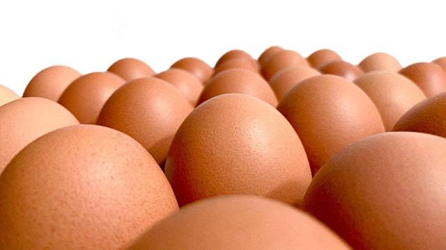 계란가격은 왜 이리 비싼가?