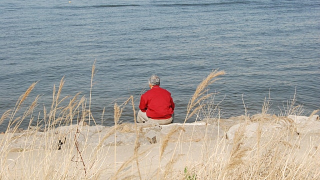 치매 치료제 신약의 최근 근황은?(feat 레켐비, 키순라, 일라이릴리)