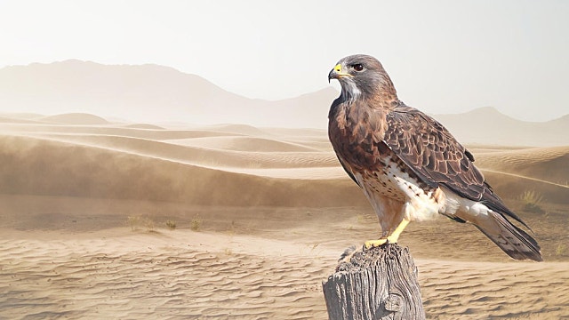 파월 기자회견(feat 연준의장과 연준이사 계속 하겠다)