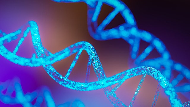 53세 여성의 피부가 23세로 돌아갔다.(feat 야마나카인자, 오픈AI)