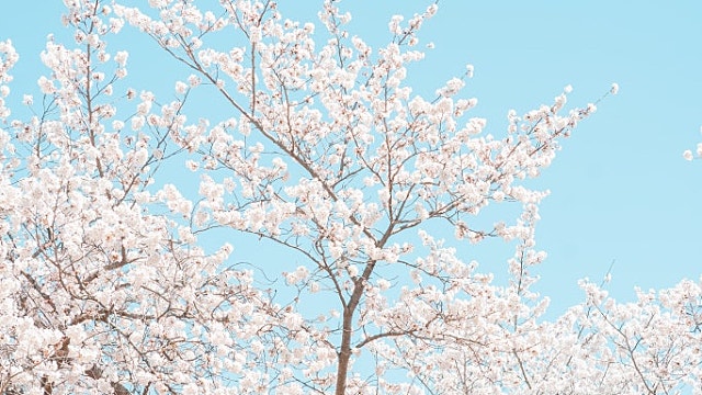 일본 종합상사 다음 투자대상은 어디일까? A/S (feat 버크셔)