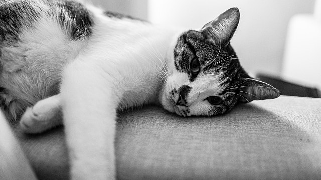 트럼프의 연준 의장 파월에 대한 형사기소가 가져오는 나비효과?