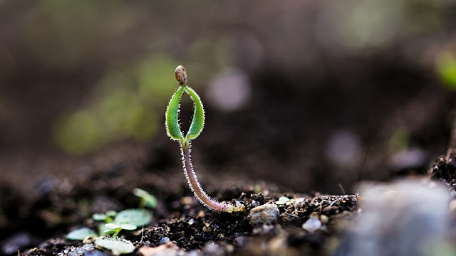유튜브,오렌지보드,네이버프리미엄(메세공)에 메르가 보이는 이유