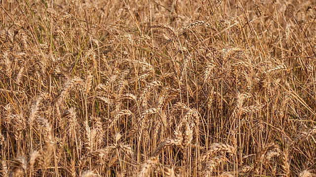 미국 증시와 암호화폐가 비실비실한 이유는 뭐고, 언제 풀릴까?