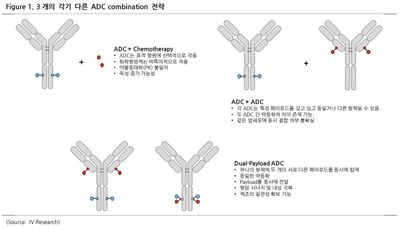 Dual-Payload ADC 산업보고서