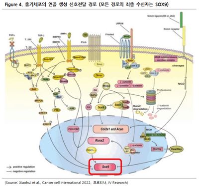 프로티나(468530)-PPI플랫폼, 본격 사업화 시대 개막