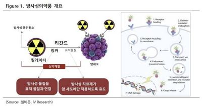 셀비온(308430)-2H25 모멘텀 구간 기대