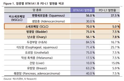 에스티큐브(052020)-넬마스토바트 1b/2상 데이터 기대